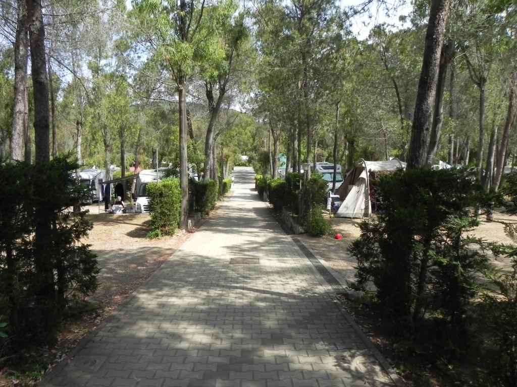 Camping Lacona Capoliveri  Ngoại thất bức ảnh